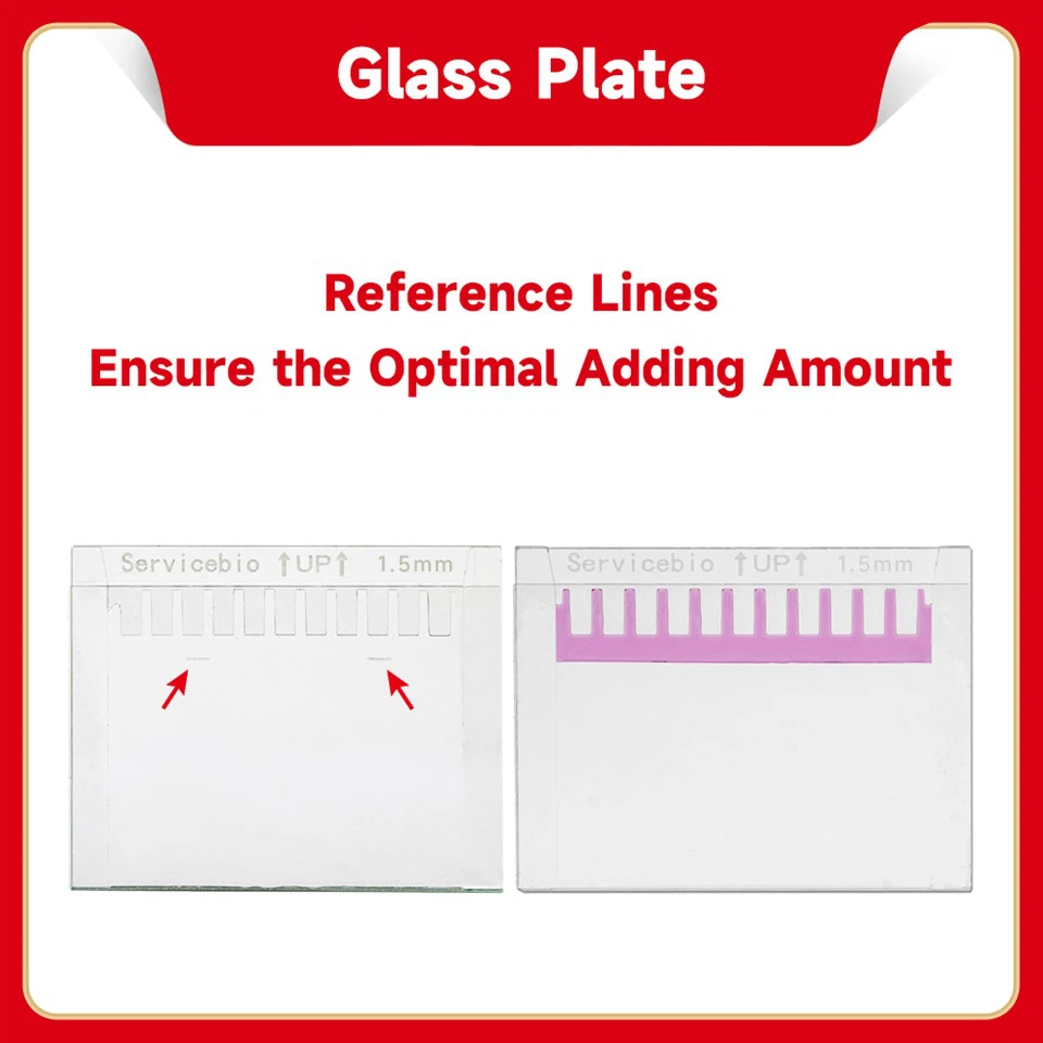 Concave Glass Plate (For Servicebio & Bio-Rad,with Reference Line)